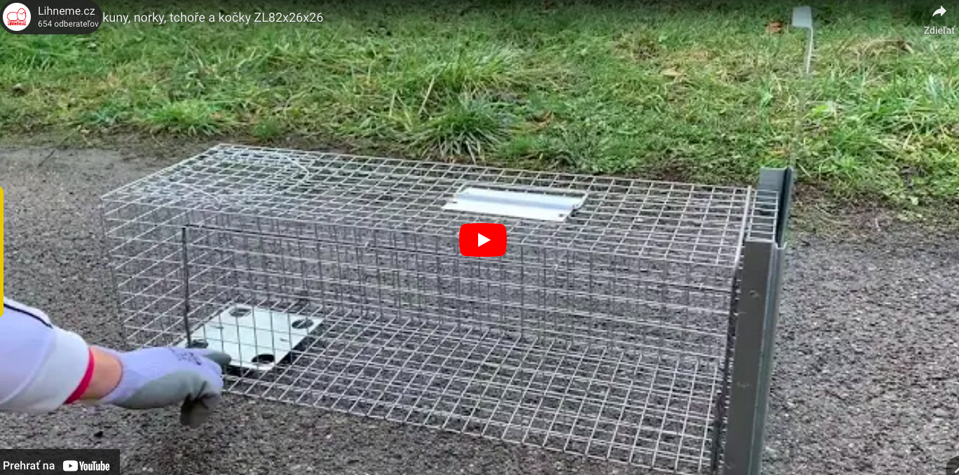 Snímka obrazovky 2025-07-28 o 11.55.27